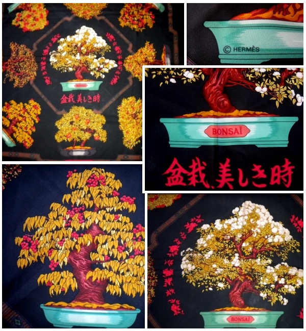 collage bonsai
