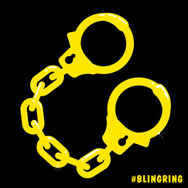 the bling ring05