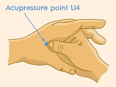 acupressure point L14