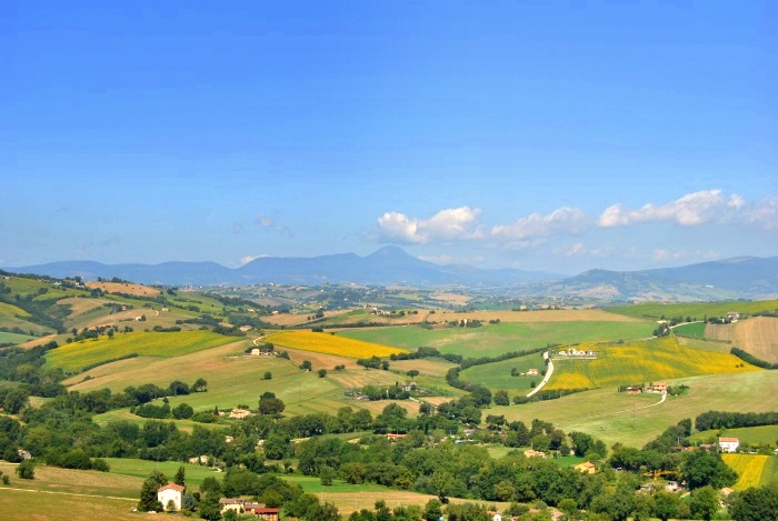 urbisaglia landscape