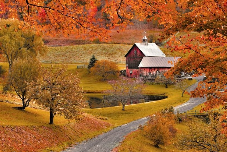 Autumn_Sleepy_Hollow_Farm_Vermont