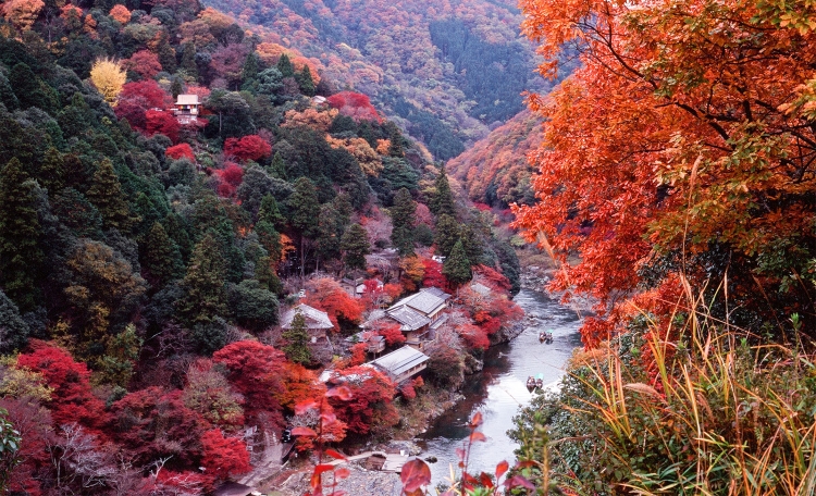 kyoto_autumn_01