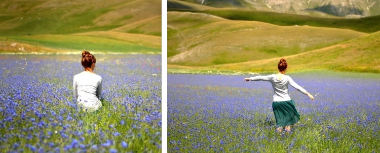 Flowering_blue_08