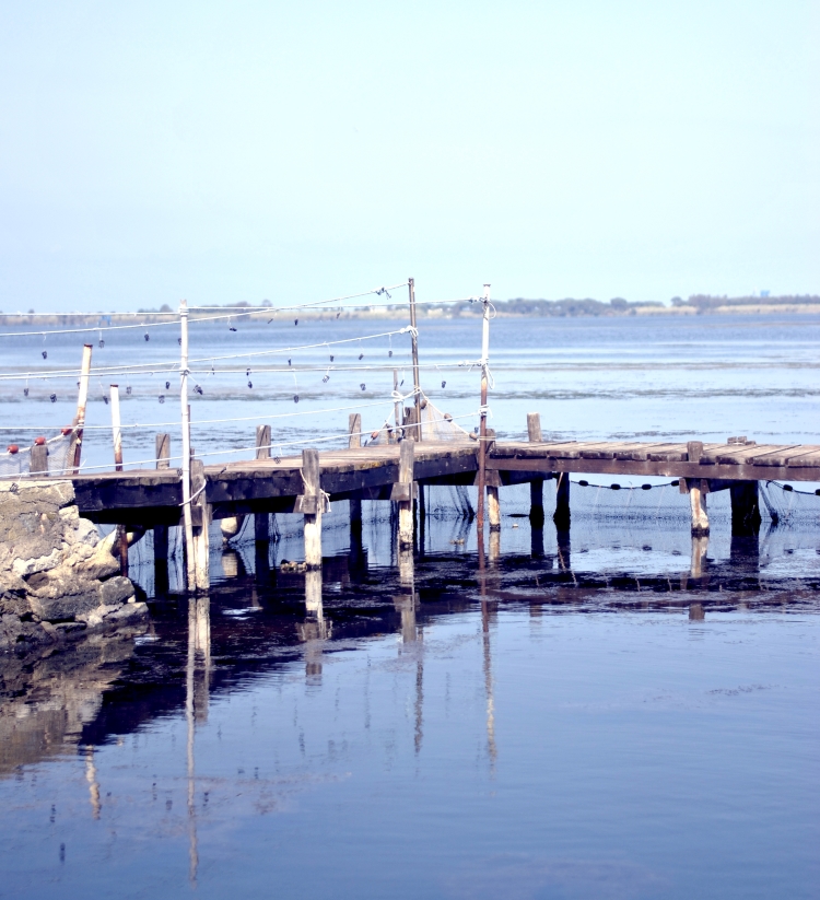 laguna_orbetello_004